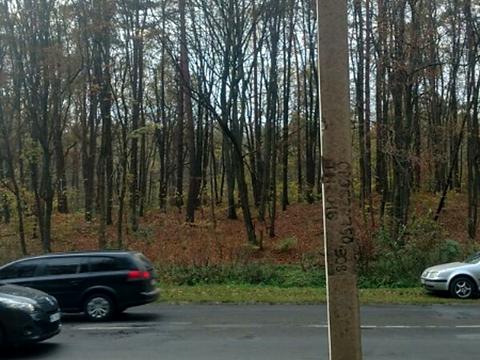 участок по адресу Замарстыновская ул. (Калинина)