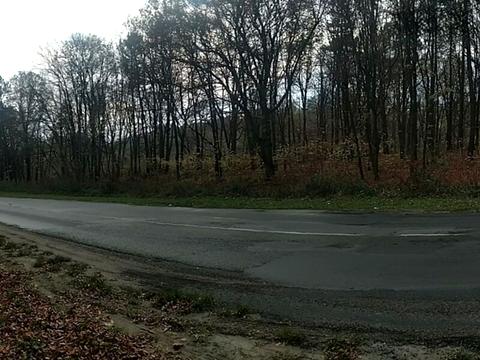 участок по адресу Замарстыновская ул. (Калинина)