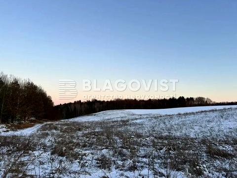 ділянка за адресою Мельника