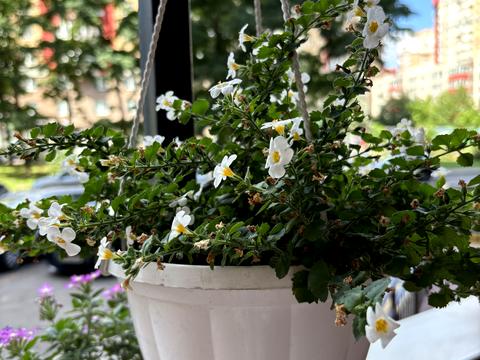 квартира за адресою Юлії Здановської вул. (Ломоносова), 81-Б