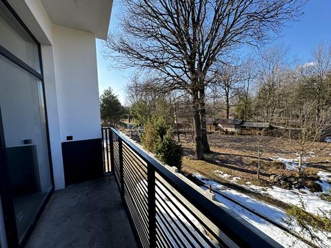 дом по адресу с. Борки, Янева