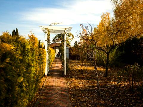 будинок за адресою смт. Козин, Шевченка вул.