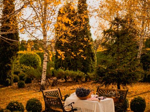 будинок за адресою смт. Козин, Шевченка вул.