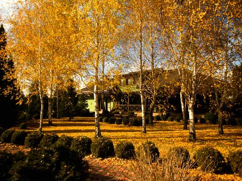 будинок за адресою смт. Козин, Шевченка вул.