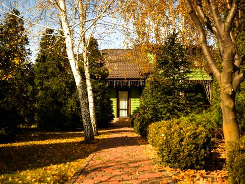 будинок за адресою смт. Козин, Шевченка вул.