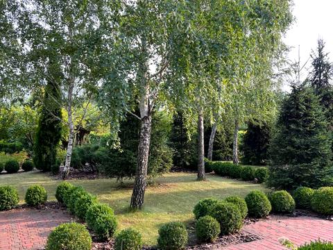 будинок за адресою смт. Козин, Шевченка вул.