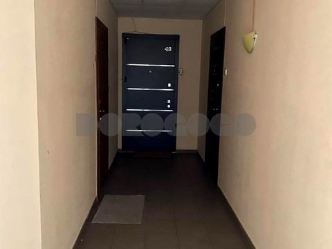 квартира по адресу Казацкая ул., 6