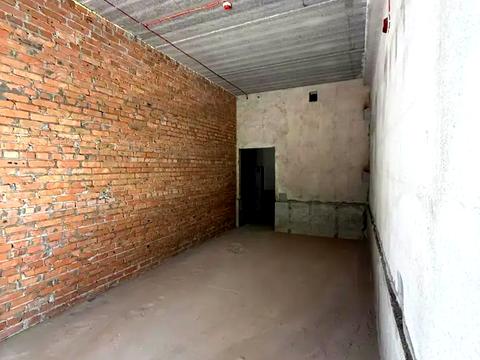 комерційна за адресою Михайла Максимовича вул. (Онуфрія Трутенка), 24-Г