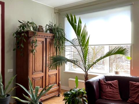 дом по адресу Щурата ул., 5