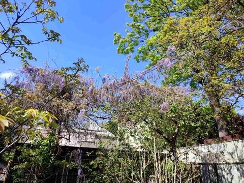 ділянка за адресою Львовський провулок, 2