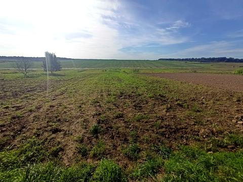 дом по адресу Зелена, 18