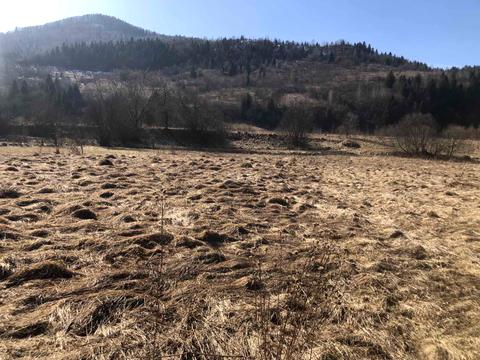 участок по адресу 