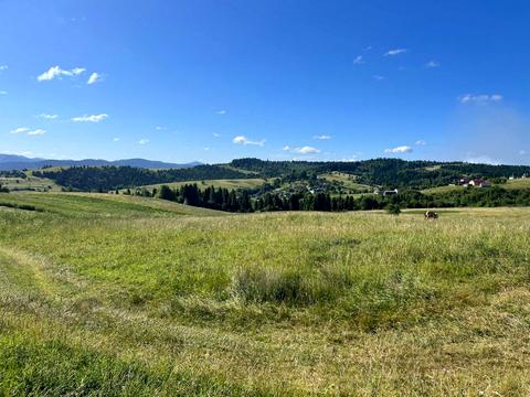 участок по адресу с. Мельничное, 