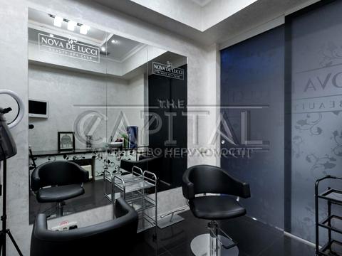 комерційна за адресою Олени Пчілки вул., 2