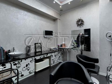 комерційна за адресою Олени Пчілки вул., 2