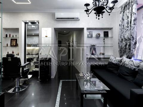 комерційна за адресою Олени Пчілки вул., 2