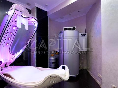 комерційна за адресою Олени Пчілки вул., 2