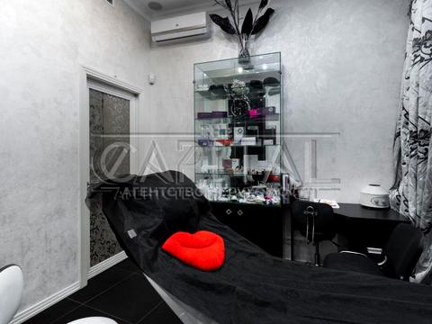 комерційна за адресою Олени Пчілки вул., 2