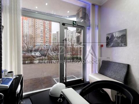 комерційна за адресою Олени Пчілки вул., 2