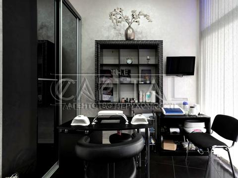 комерційна за адресою Олени Пчілки вул., 2