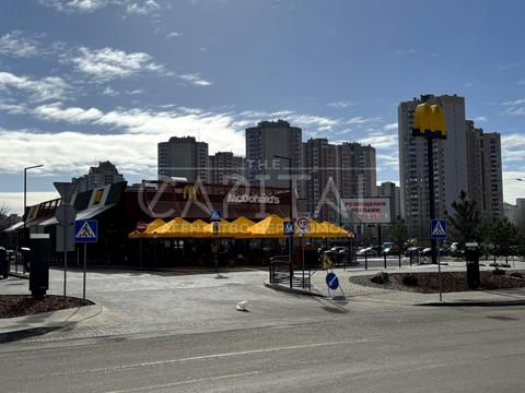 комерційна за адресою Олени Пчілки вул., 2