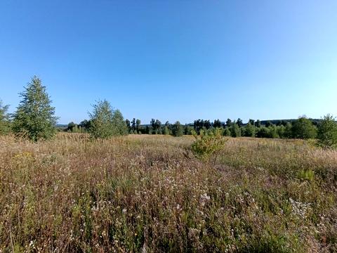 ділянка за адресою Центральна вул.