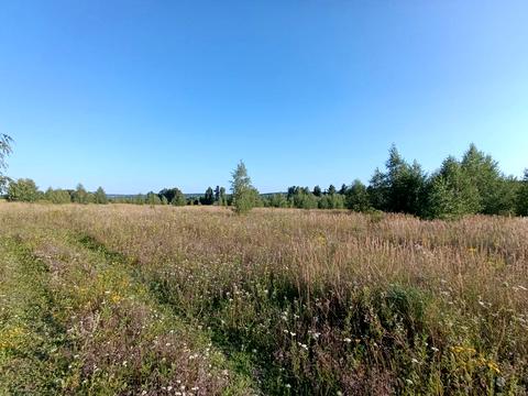 ділянка за адресою Центральна вул.