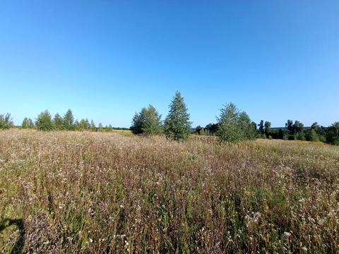 ділянка за адресою Центральна вул.