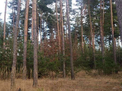 участок по адресу Центральна