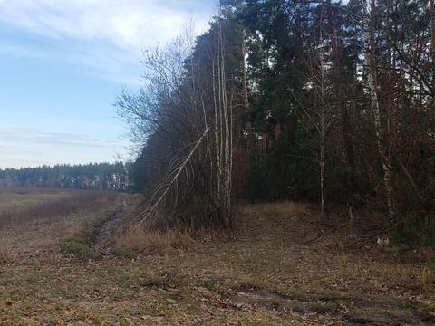 участок по адресу Центральна