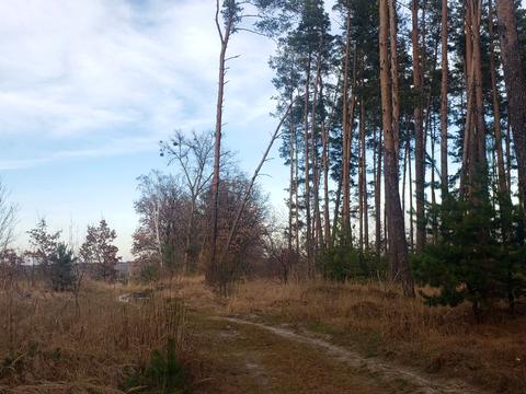 участок по адресу Центральна