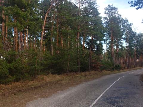 участок по адресу Центральна