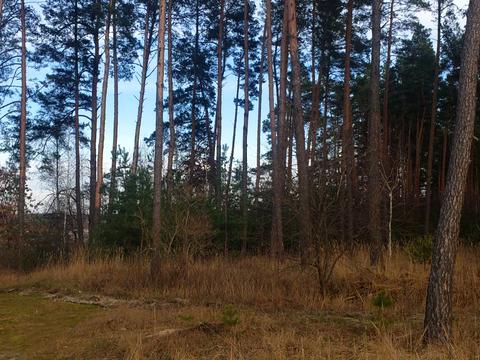 участок по адресу Центральна