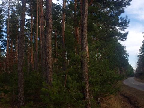 участок по адресу Центральна