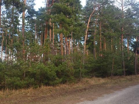 участок по адресу Центральна