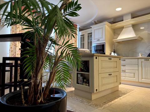 квартира по адресу Василия Касияна ул., 2/1