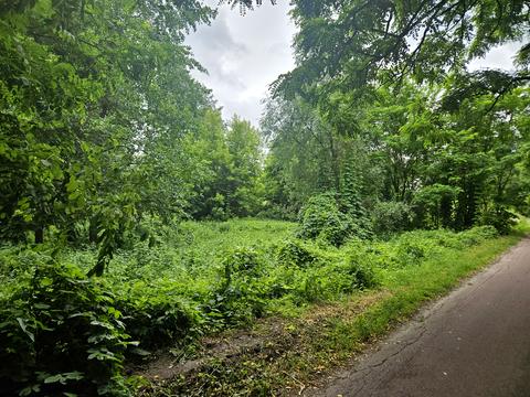 ділянка за адресою 