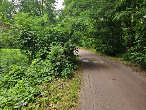 ділянка за адресою 