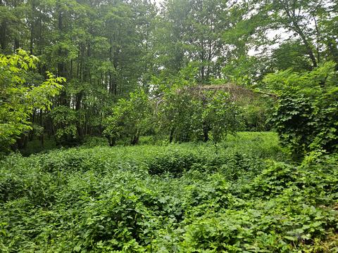 ділянка за адресою 