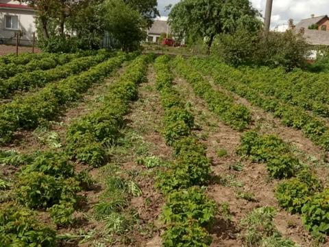 участок по адресу Сосюри, 24