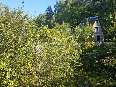 ділянка за адресою СТ Жолудь