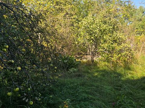 ділянка за адресою СТ Жолудь