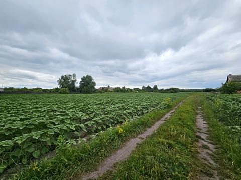 ділянка за адресою 