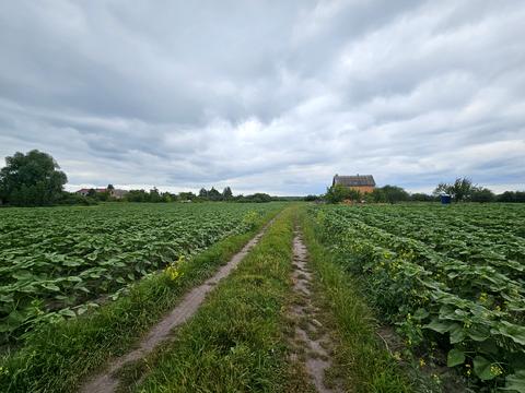 участок по адресу 