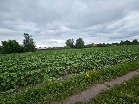 ділянка за адресою 