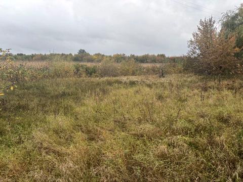 участок по адресу с. Новые петровцы, 