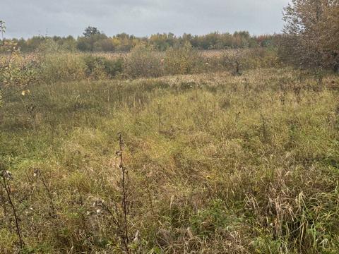 участок по адресу с. Новые петровцы, 