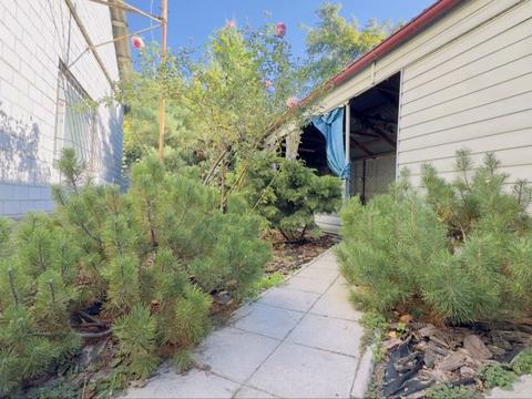 будинок за адресою Грінченка вул.