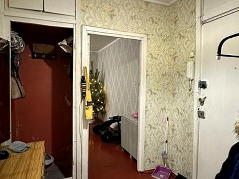 квартира по адресу Юбилейный просп. (50-летия ВЛКСМ), 53