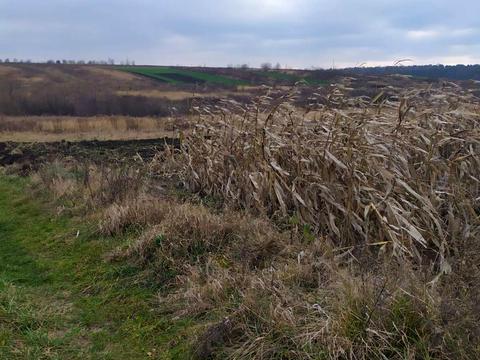 участок по адресу 